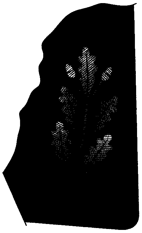 Рисунок 65