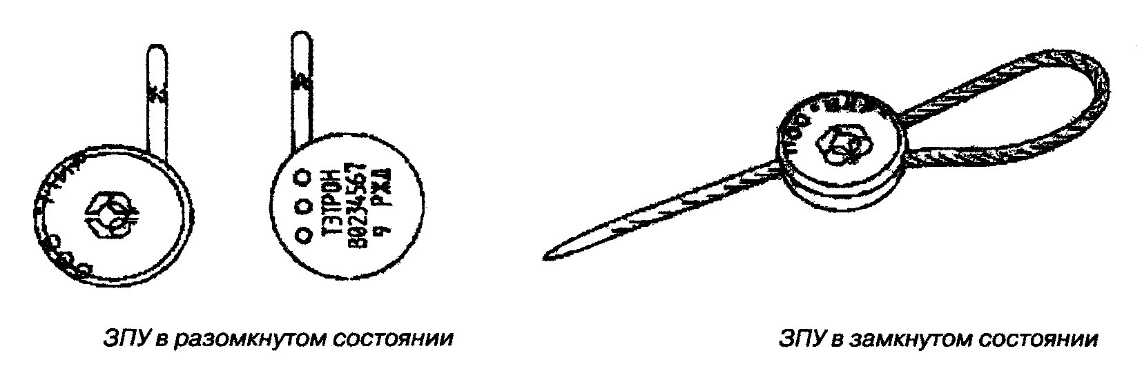 Рисунок 1