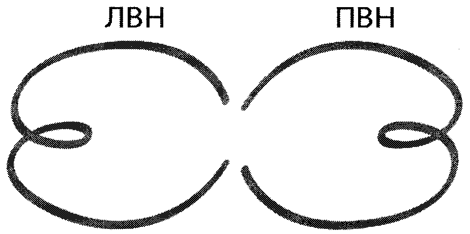 Рисунок 1