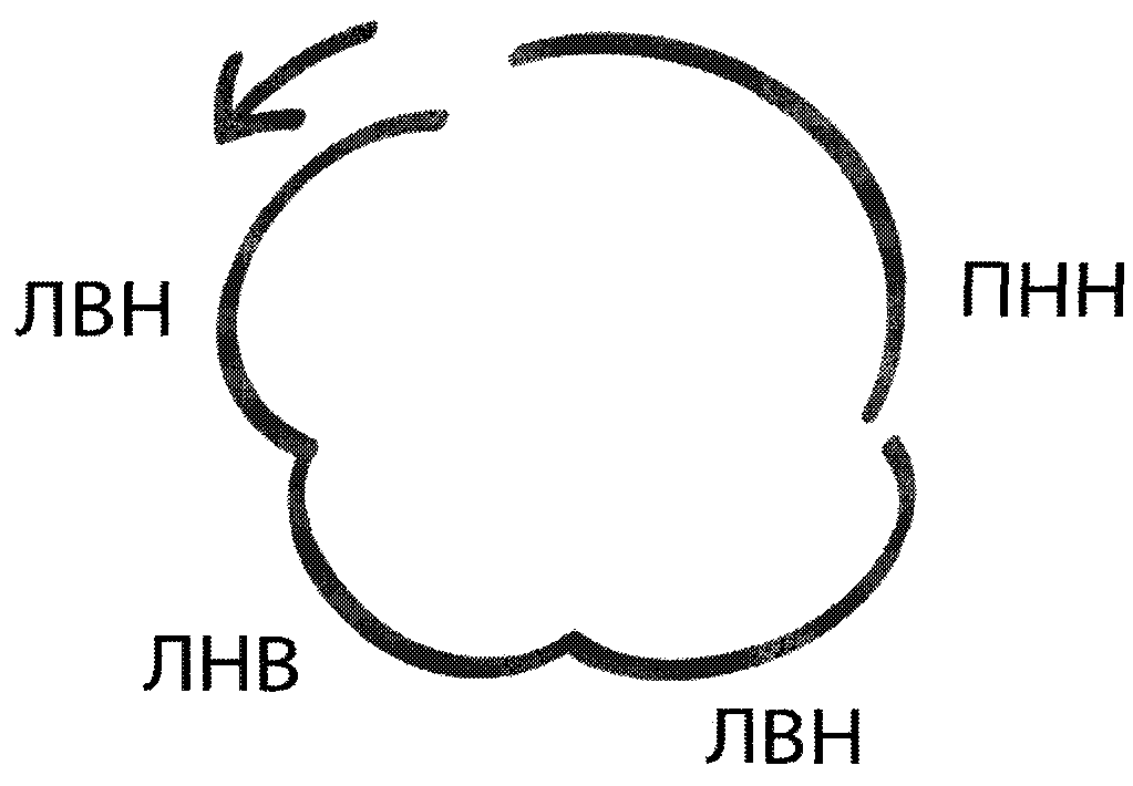 Рисунок 15