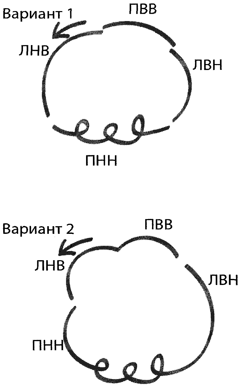 Рисунок 18