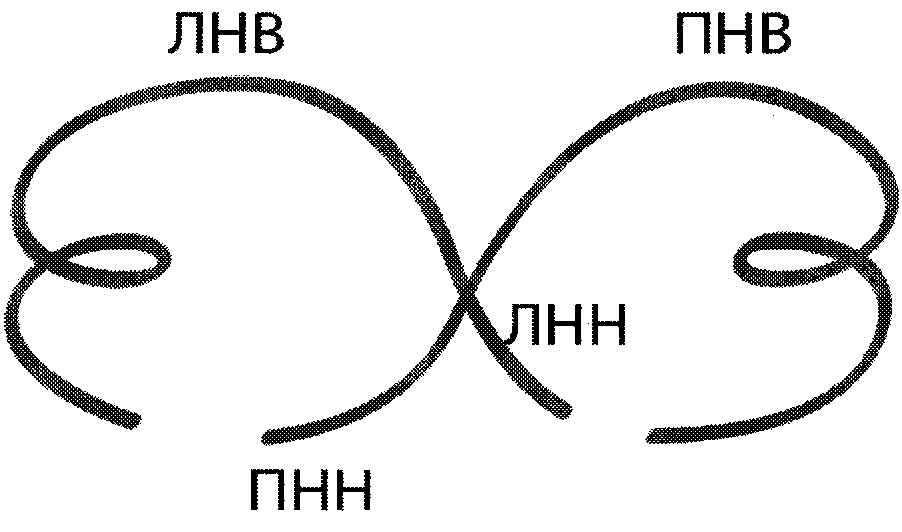 Рисунок 2