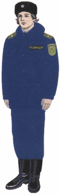Рисунок 12