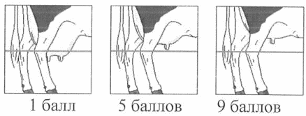 Рисунок 11
