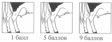 Рисунок 12