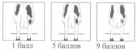 Рисунок 9