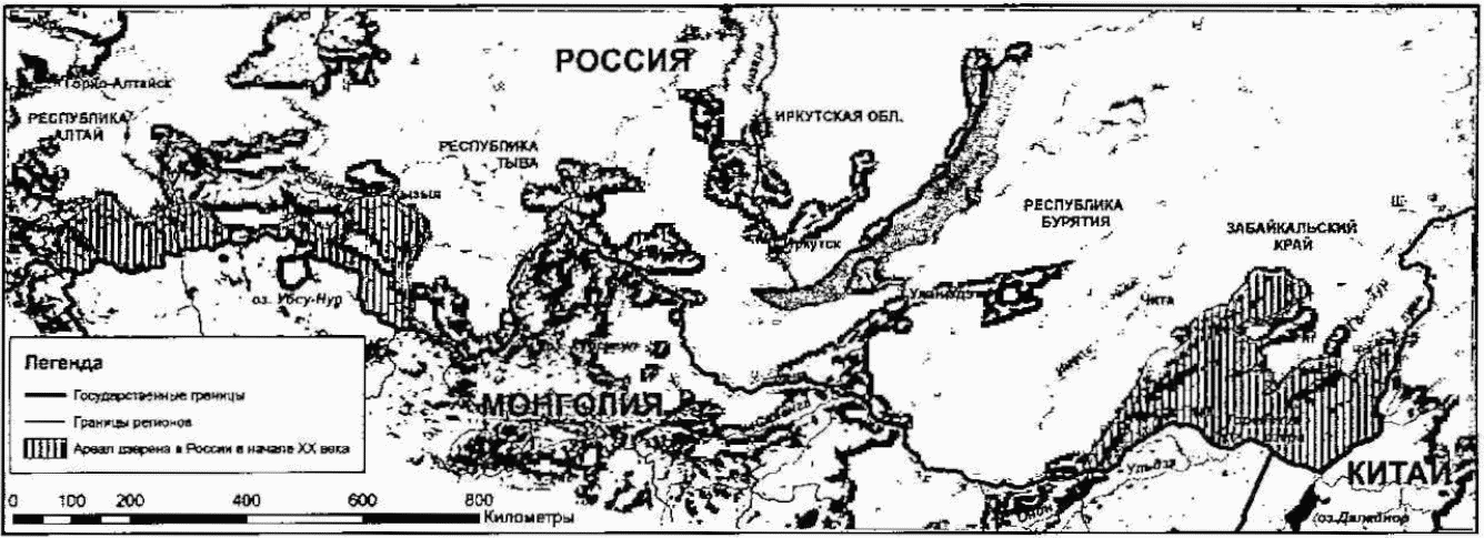 Рисунок 1