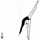 Рисунок 744