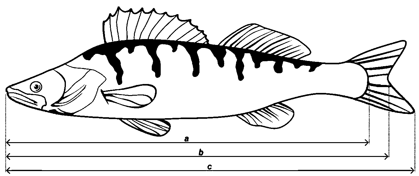 Рисунок 1