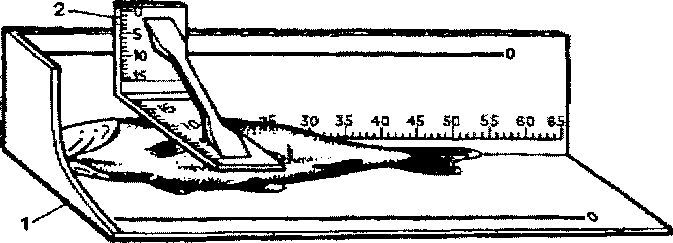 Рисунок 25