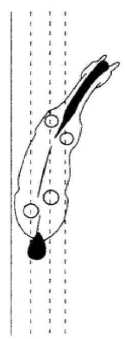 Рисунок 12