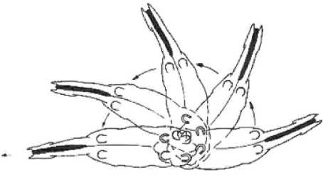 Рисунок 17