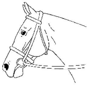 Рисунок 175