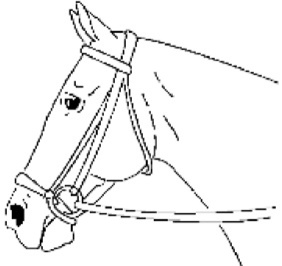 Рисунок 176