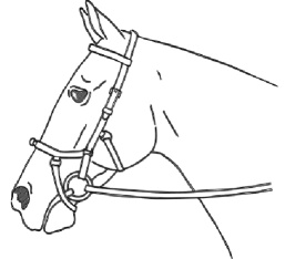 Рисунок 180
