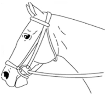 Рисунок 89
