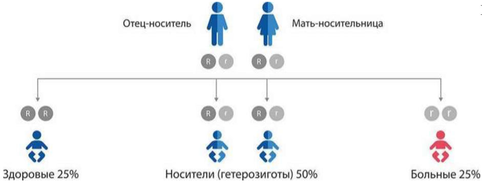Рисунок 41