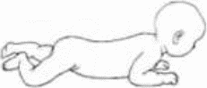 Рисунок 47