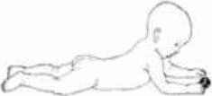 Рисунок 50