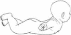 Рисунок 63