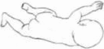 Рисунок 66