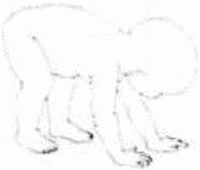 Рисунок 91